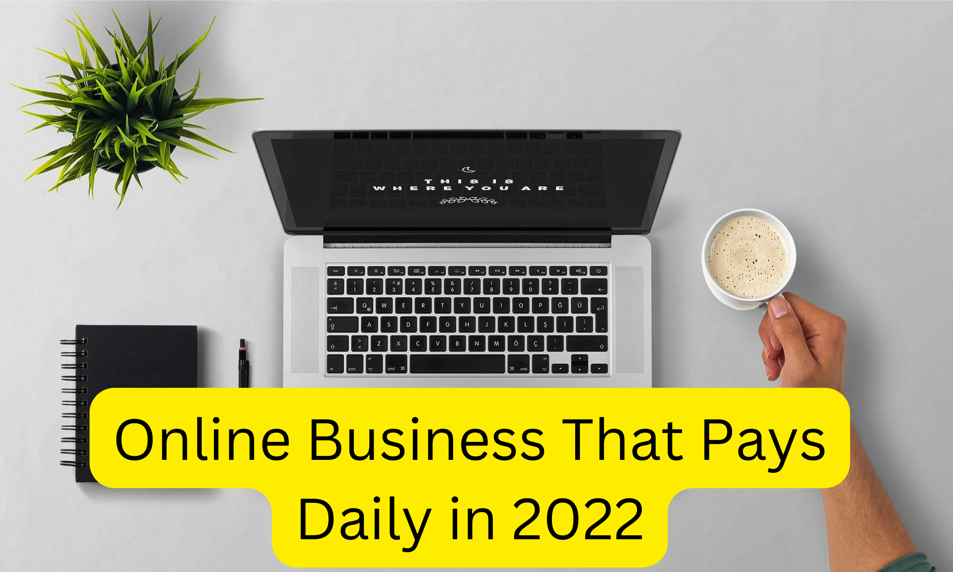 Online Business That Pays Daily